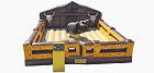 Mechanical Bull Rental
