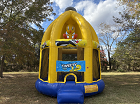 Tweety Bird Bounce House Rental