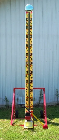 carnival-jr-striker-rental